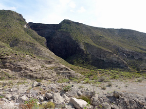 image0355-2