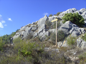 image0118-3.jpg