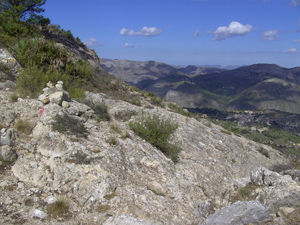 image0118-6.jpg