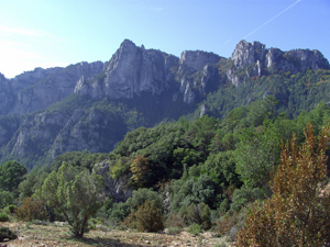 image0123-1.jpg