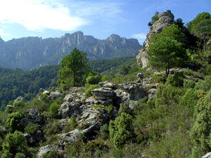 image0123-3.jpg