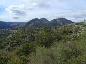 image0139-3.jpg