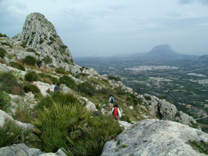 image0139-4.jpg