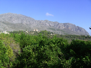 image0140-5.jpg