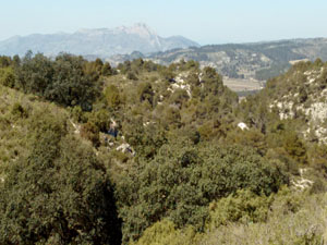 image0142-2.jpg