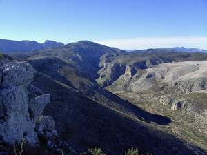 image0149-4.jpg