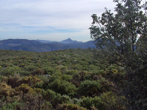 image0154-4.jpg