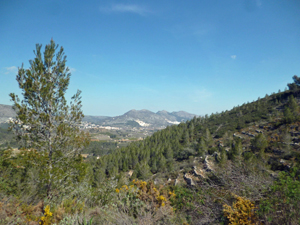 image0201-6.jpg