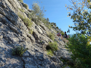 image0246-1.jpg