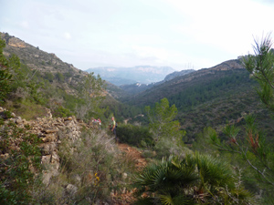 image0303-3.jpg