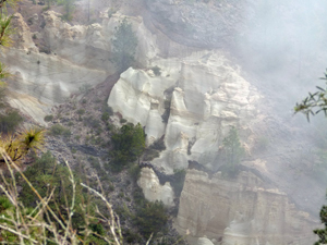 image0325-6.jpg