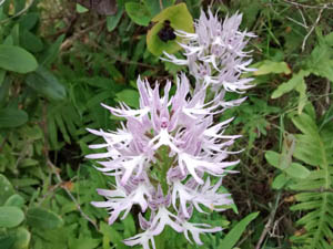 image0334-1.jpg