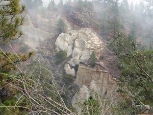 image0337-6.jpg