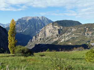 image0367-1.jpg