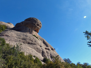 image0385-3.jpg