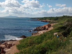Coastal view looking south