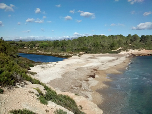 The lagoon