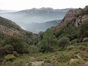 view-down-our-ascent-barranco