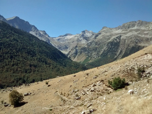 Looking West into Molieres Valley