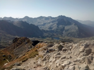 Looking back from the final col