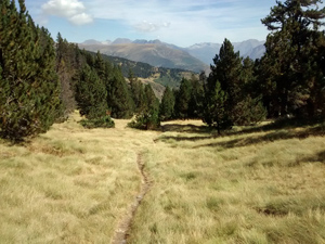 At the Col