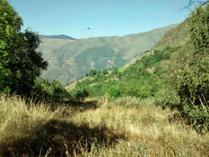Above Boldis Subira