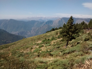 Looking S from Punta de Roquetes