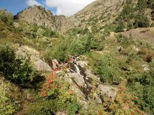 Looking back up towards the refuge