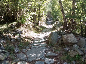 Shaded valley path