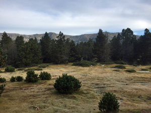 Mixed terrain above the Refuge