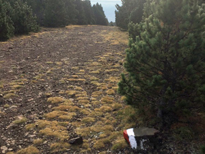 Lonely waymark