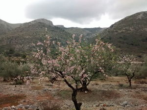 Looking up the Valley