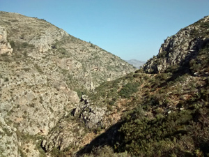 High in the Cau barranco