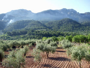 View from Pauls towards the Coscollosa Ridge