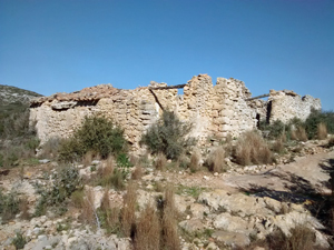 Ruin after 3.6km