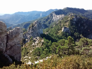 Looking along the ridge