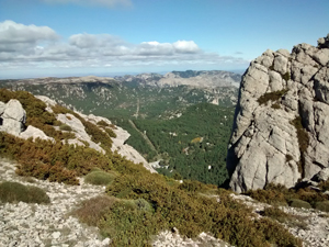 View into Els Ports