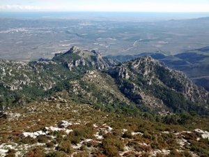 Looking towards the coast