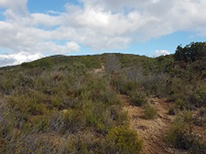 The initial climb