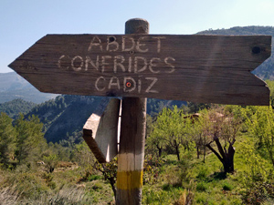 Cadiz might be a long day...