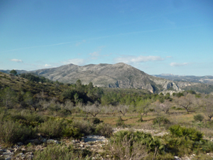 Inland views