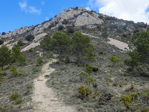 Our steep ascent to Pla de la Casa