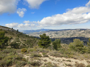 Views inland