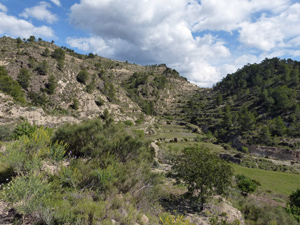 Looking back at barranco after 2.5km