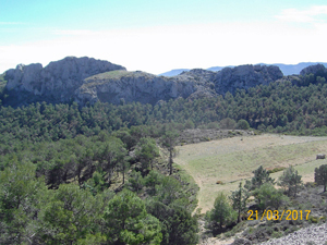 High level agriculture