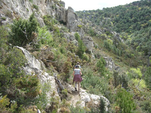 Contouring steep hillside