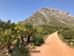 Approaching Montgo on Les Planes