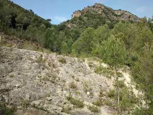 Rugged barranco start