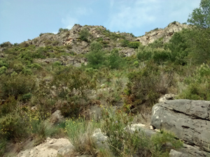Emerging from barranco