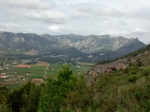 View south